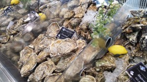 Live Oysters